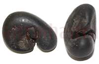 Shaligram 10747 50gm